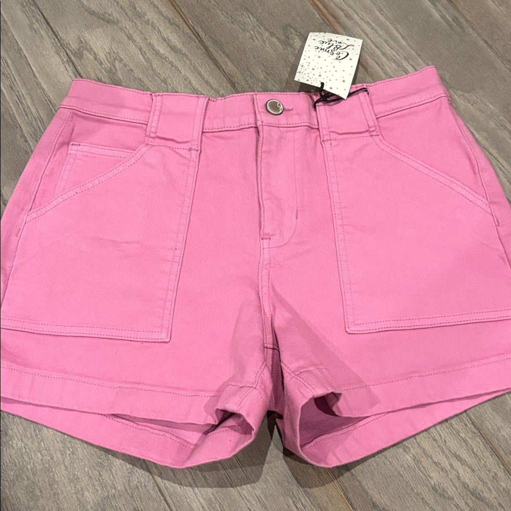 NWT Cosmic Blue Love High Rise Shorts in Camellia Rose Size 28